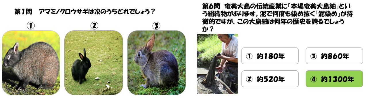 第1問：アマミノクロウサギはどれでしょうか？
第6問：奄美大島の伝統産業に「本場奄美大島紬」という絹織物があります。泥で何度も染め抜く「泥染め」が特徴的ですが、この大島紬は何年の歴史を誇るでしょうか？